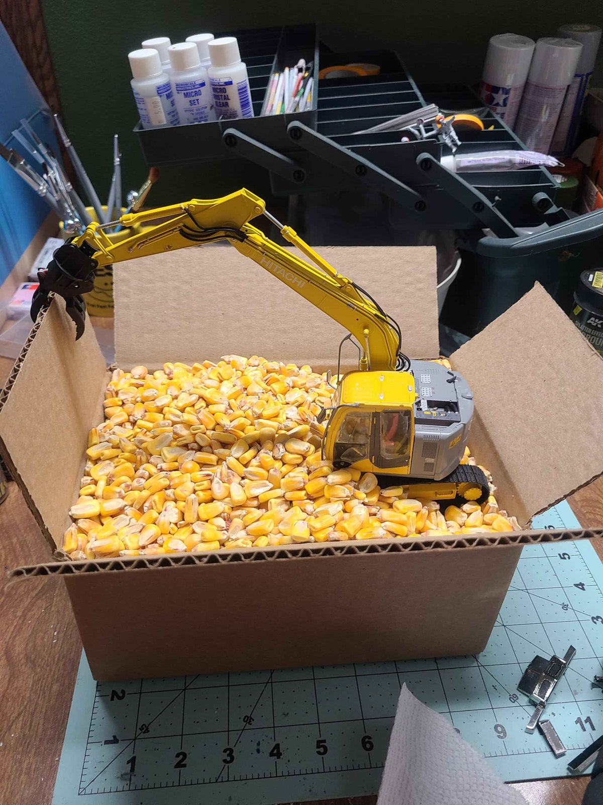Leach Farms - Loose Corn in a Box (~7lb) Corn1