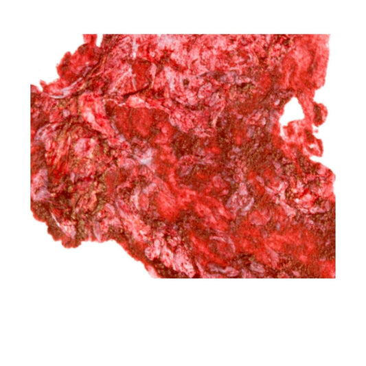 AK Interactive - 3GEN - Viscera Effect (17ml) AK11261