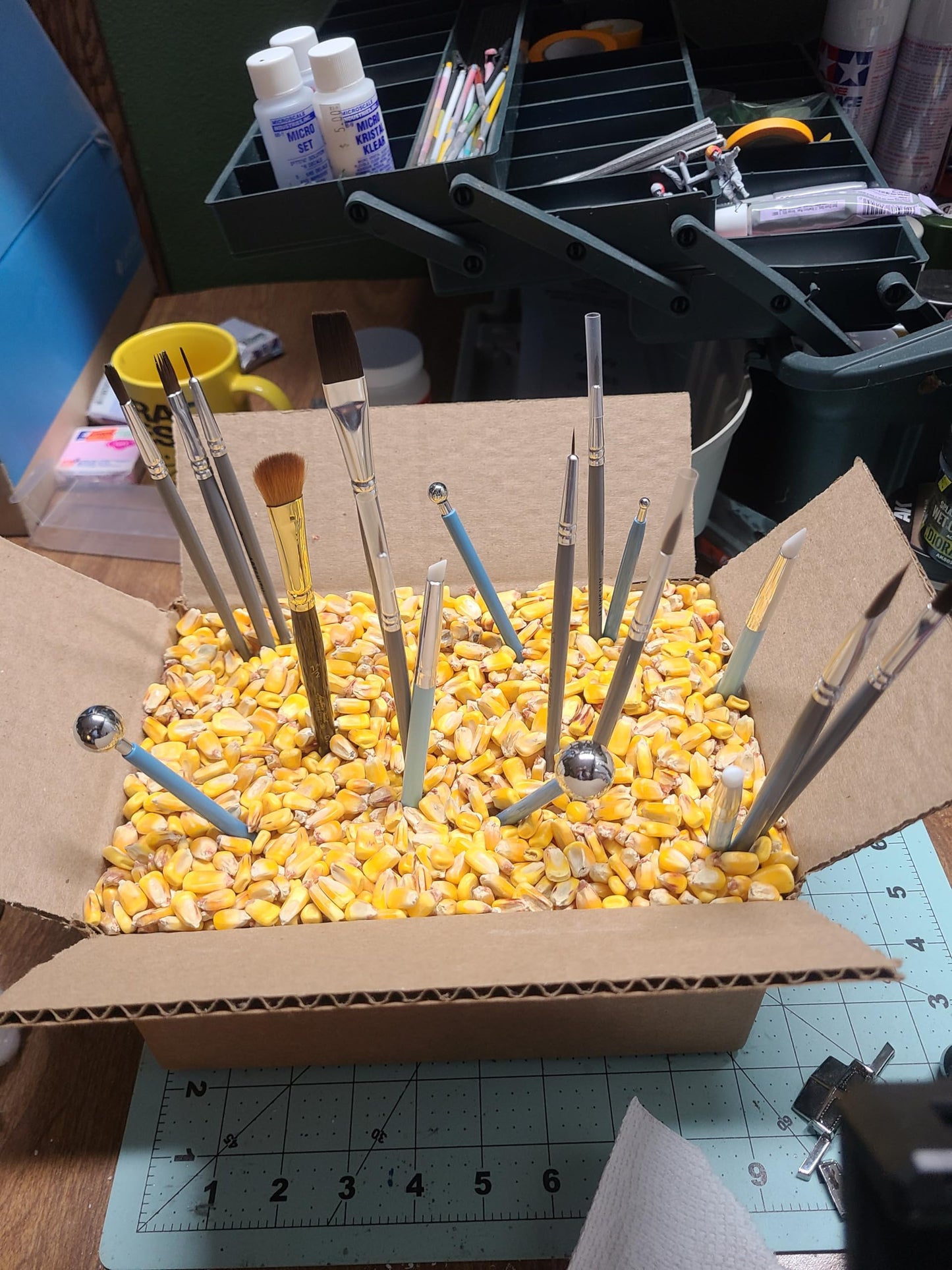 Loose Corn in a Box ~7lb