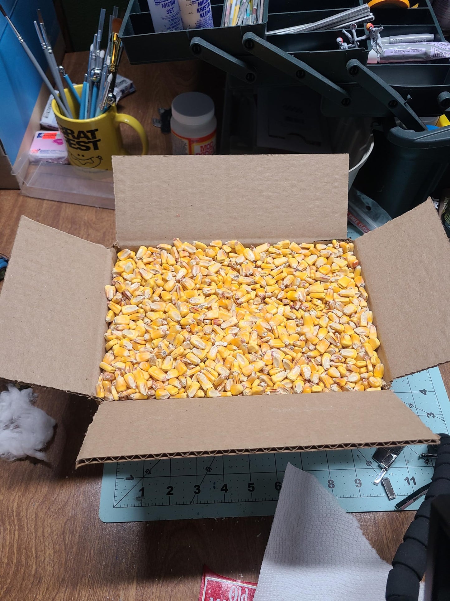 Loose Corn in a Box ~7lb