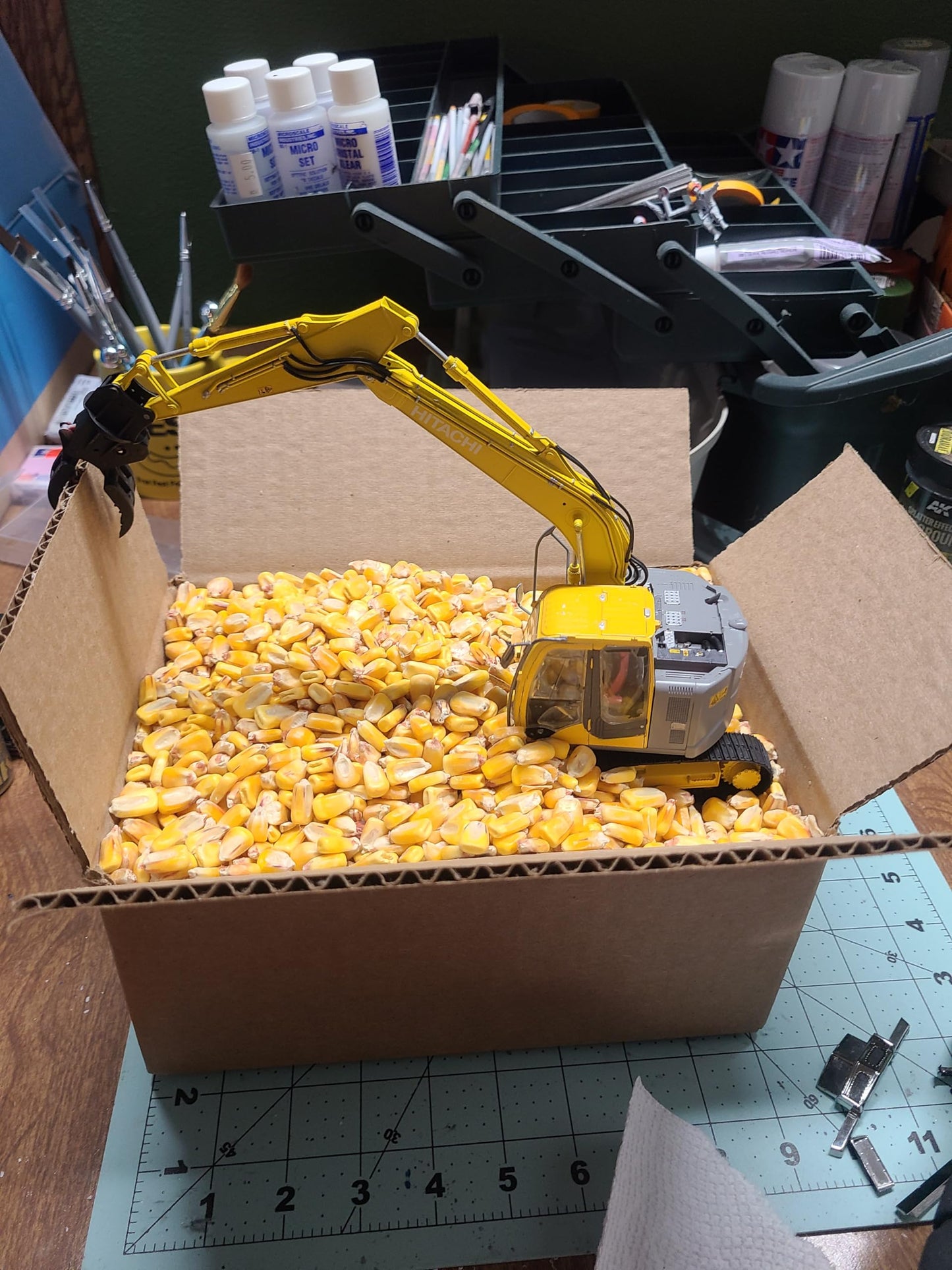 Loose Corn in a Box ~7lb