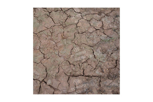AK Interactive : Creapata Wet Earth Effect (Crackle) - 100 ml (Acrylic)
