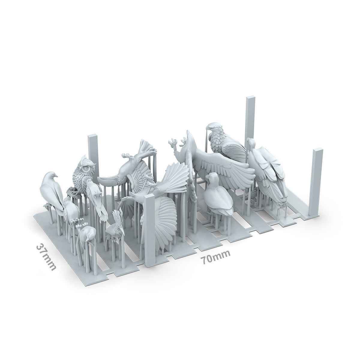 AK Interactive - Basing Bits - Birds AKBIT0051